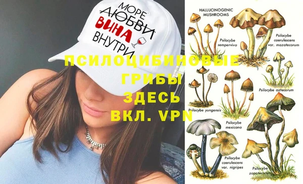мескалин Бронницы