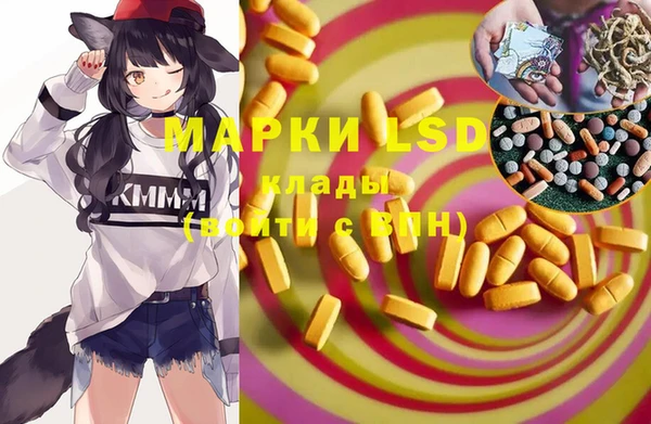 первитин Богданович