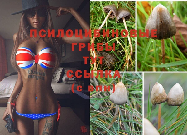 молекула духа Бугульма