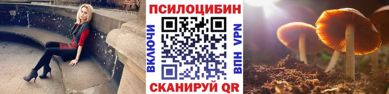 Галлюциногенные грибы мицелий  купить   Суворов 